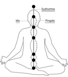 ida_pingala_sushumna