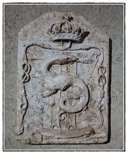 Salamandra presso il Castello di Cognac - Francia