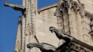 Gargoyle_Notredame_di_Parigi